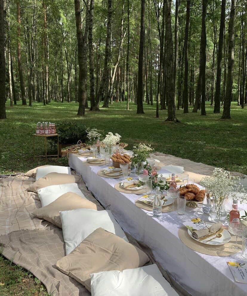 Deluxe Picnic Experience