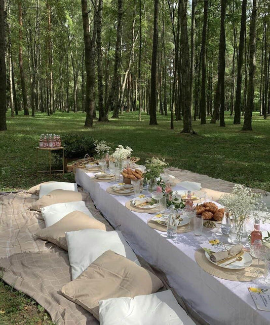 Deluxe Picnic Experience